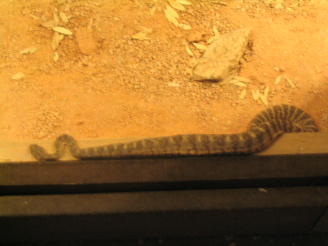 618x457 pixels (163K)